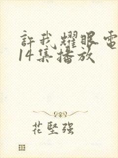 许我耀眼电视剧14集播放