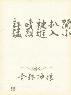 许晴被扒开双腿猛烈进入小说