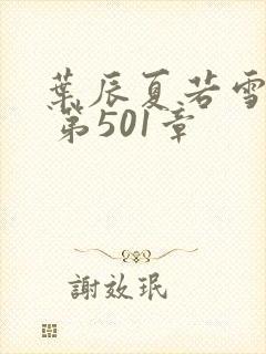 叶辰夏若雪孙怡 第501章