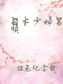 日本少妇另类视频