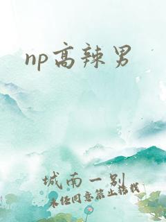 np高辣男