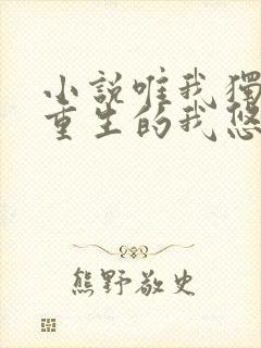 小说唯我独仙:重生的我悠闲修仙