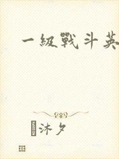 一级战斗英雄