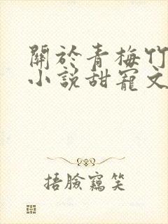 关于青梅竹马的小说甜宠文