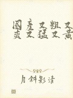 国产又粗又硬又爽又猛又黄视频