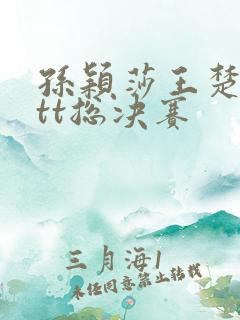 孙颖莎王楚钦wtt总决赛