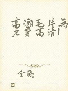 高潮毛片无遮挡免费高清l