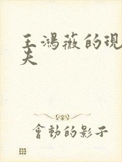 王鸿薇的现任丈夫