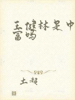 王健林是中国首富吗