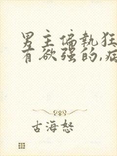 男主偏执狂,占有欲强的,病态文