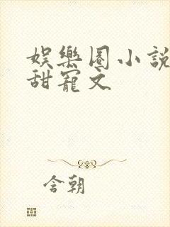 娱乐圈小说推荐甜宠文