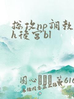 总攻np调教高h后宫bl
