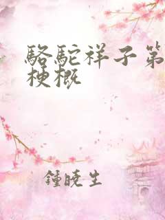 骆驼祥子第1章梗概