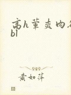 高h荤爽肉欲文bl