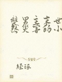 双男主末世文自然灾害的小说推荐