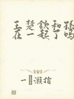 王楚钦和孙颖莎在一起了吗