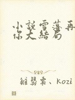 小说雪落再说爱你大结局