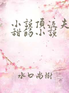 小说顶流夫妇超甜的小说