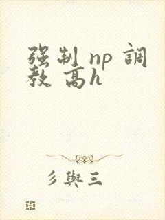 强制 np 调教 高h