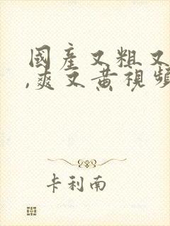 国产又粗又猛又,爽又黄视频