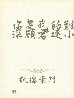 你是我的难得情深顾君逐小说