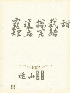 霸道总裁甜宠文短篇完结
