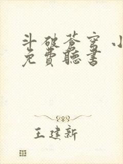 斗破苍穹 小说免费听书