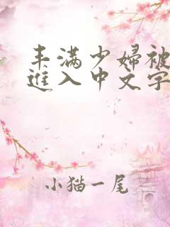 丰满少妇被猛烈进入中文字幕