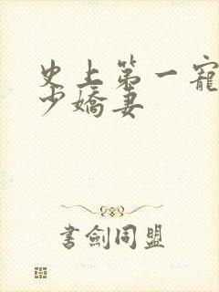 史上第一宠婚慕少娇妻