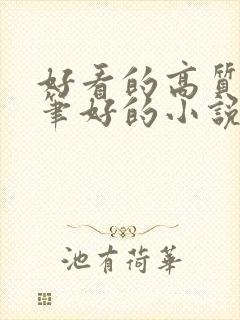 好看的高质量文笔好的小说