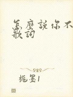 怎么说你不爱我歌词