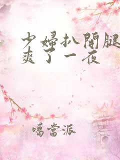 少妇扒开腿让我爽了一夜