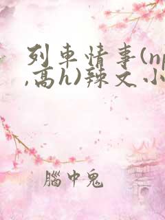 列车情事(np,高h)辣文小