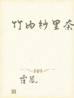 竹内纱里奈侵犯