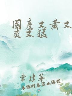 国产又黄又大又爽又猛