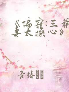 《偏宠:三爷宠妻太操心》