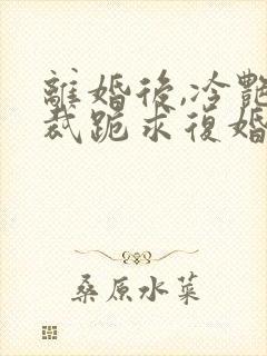 离婚后,冷艳总裁跪求复婚全文