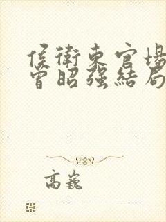 侯卫东官场笔记曾昭强结局