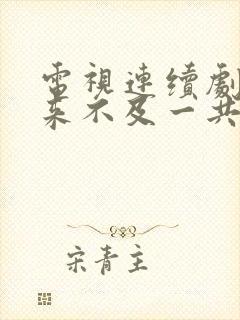 电视连续剧我怕来不及一共多少集