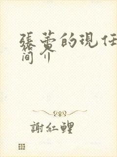 张蕾的现任丈夫简介