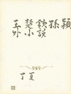 王楚钦孙颖莎番外小说