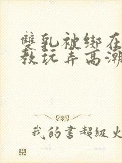 双乳被绑在床调教玩弄高潮小说