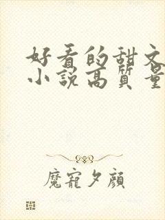 好看的甜文言情小说高质量文笔好