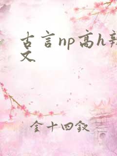 古言np高h辣文