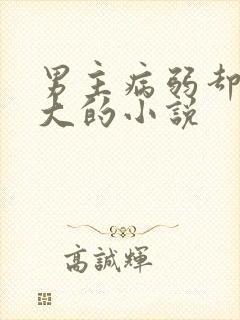 男主病弱却很强大的小说