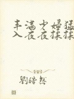 丰满少妇猛烈进入夜夜揉揉日日人