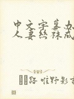 中文字幕办公室人妻丝袜成熟乱