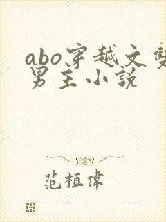 abo穿越文双男主小说