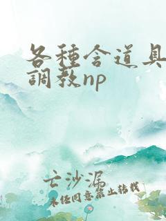 各种含道具高h调教np
