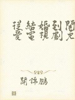 从结婚到开始恋爱电视剧免费